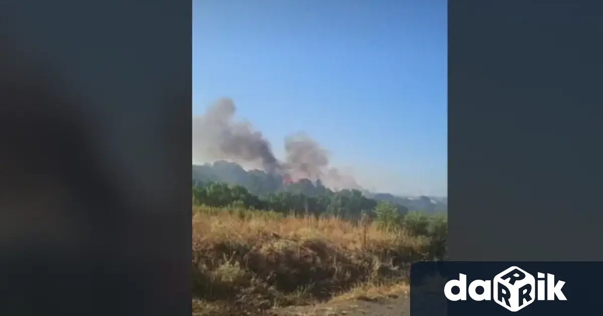 Пожар избухна в района на Зидарово община Созопол Огънят е