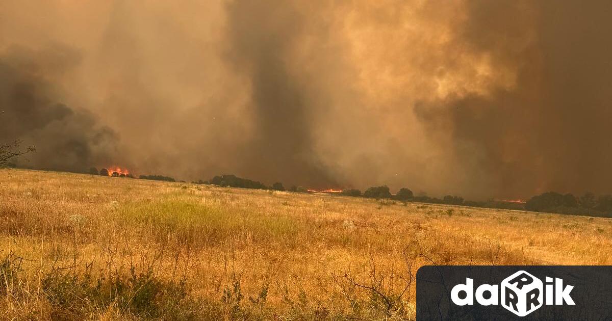 Овладени са пожарите в общините Тополовград и Свиленград като огънят