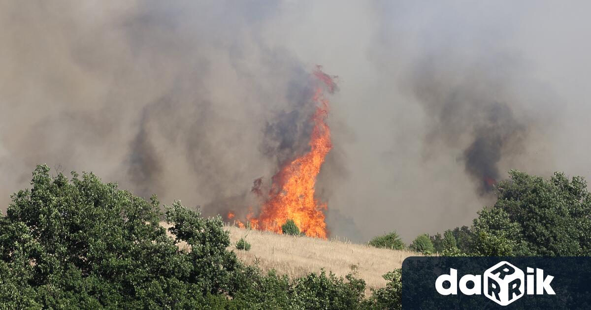 Пожар гори в благоевградското село Марулево евакуирани са хора съобщиха