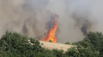 Пожар гори в Благоевградско, евакуирани са хора