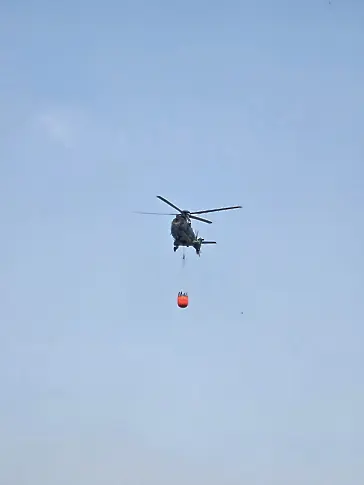 Пожар край Асеновград: Огънят обхвана 10 дка гора и градини