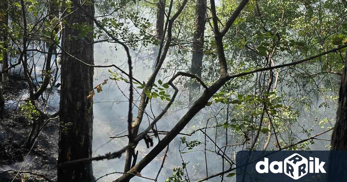 Пожар избухна в района на асеновградските квартали Горни Воден и