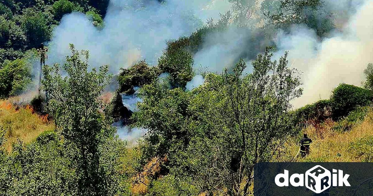 Временно се преустановяват всички стрелби и военни стрелкови обучения на