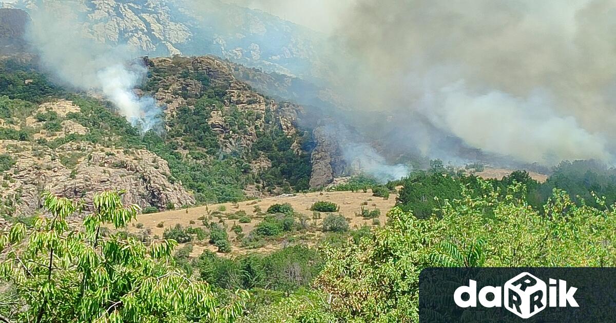 Служители на ДГС Сливен св включиха в пожара във вилната