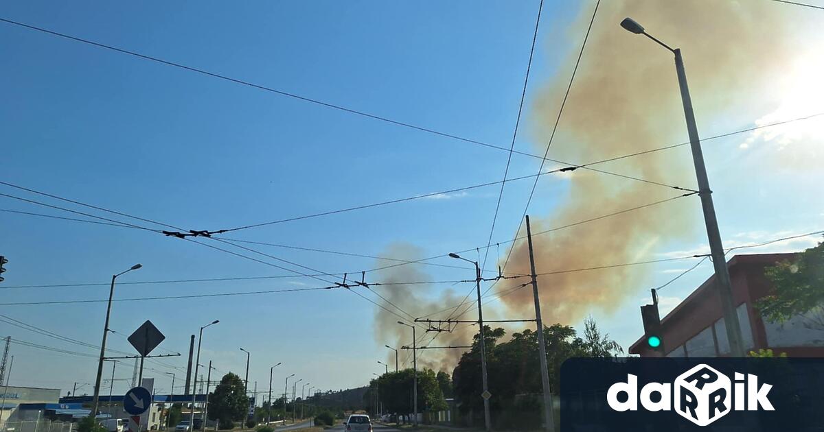 При пожара възникнал в местността Батмиш край Сливен са спасени