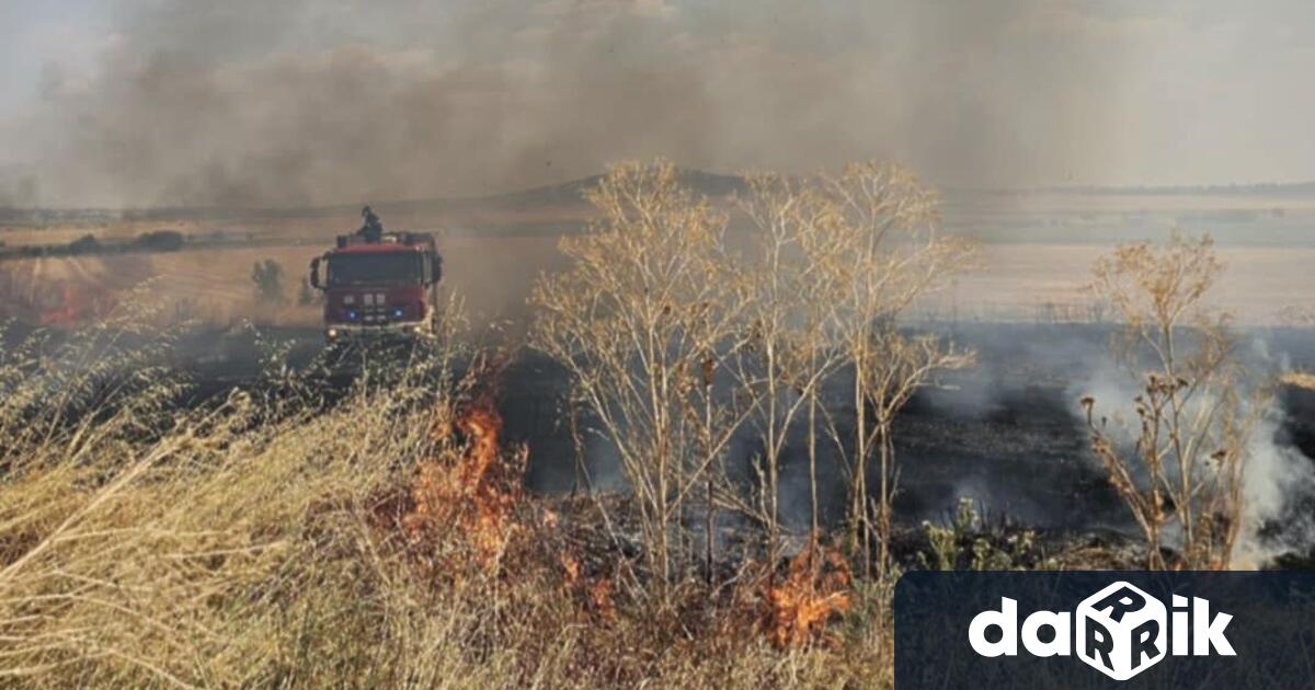 Горящ лек автомобил е предизвикал пожарв района на км 267