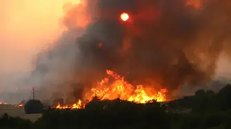 Огнищата в района на Пловдив са овладени, но по обед може пак да пламнат