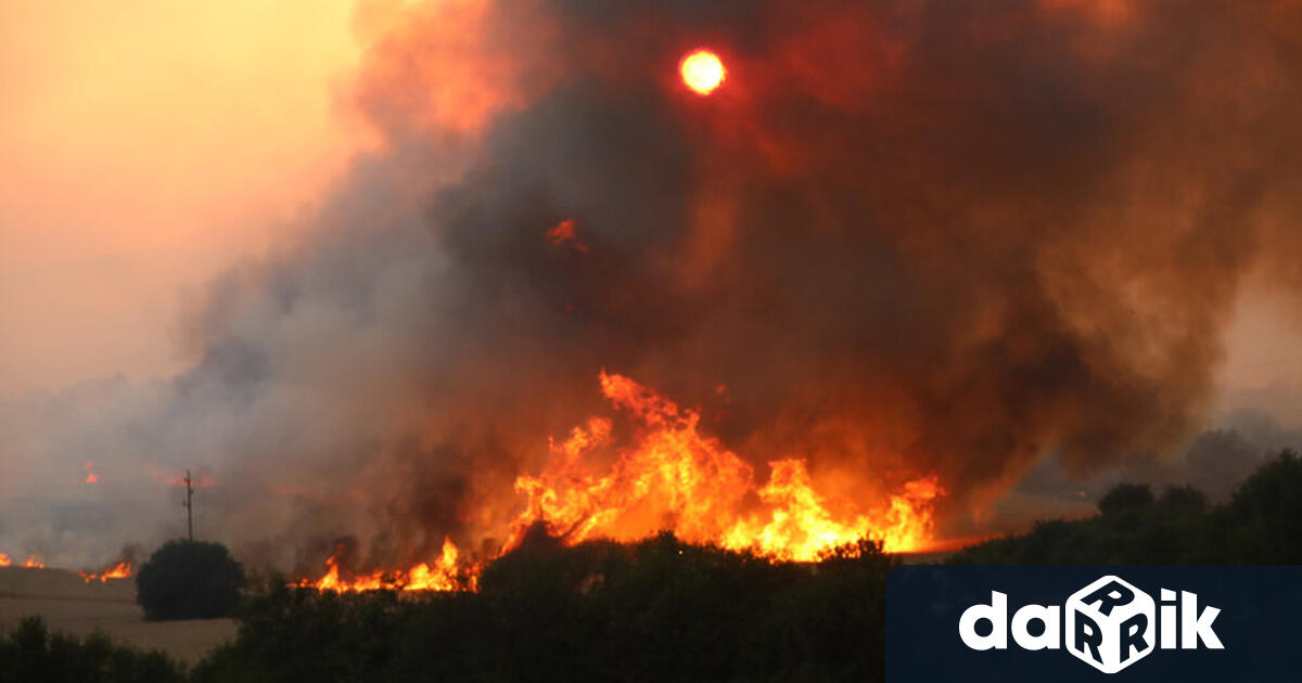 Пожарът край Костинброд се е разгорял и е тръгнал към