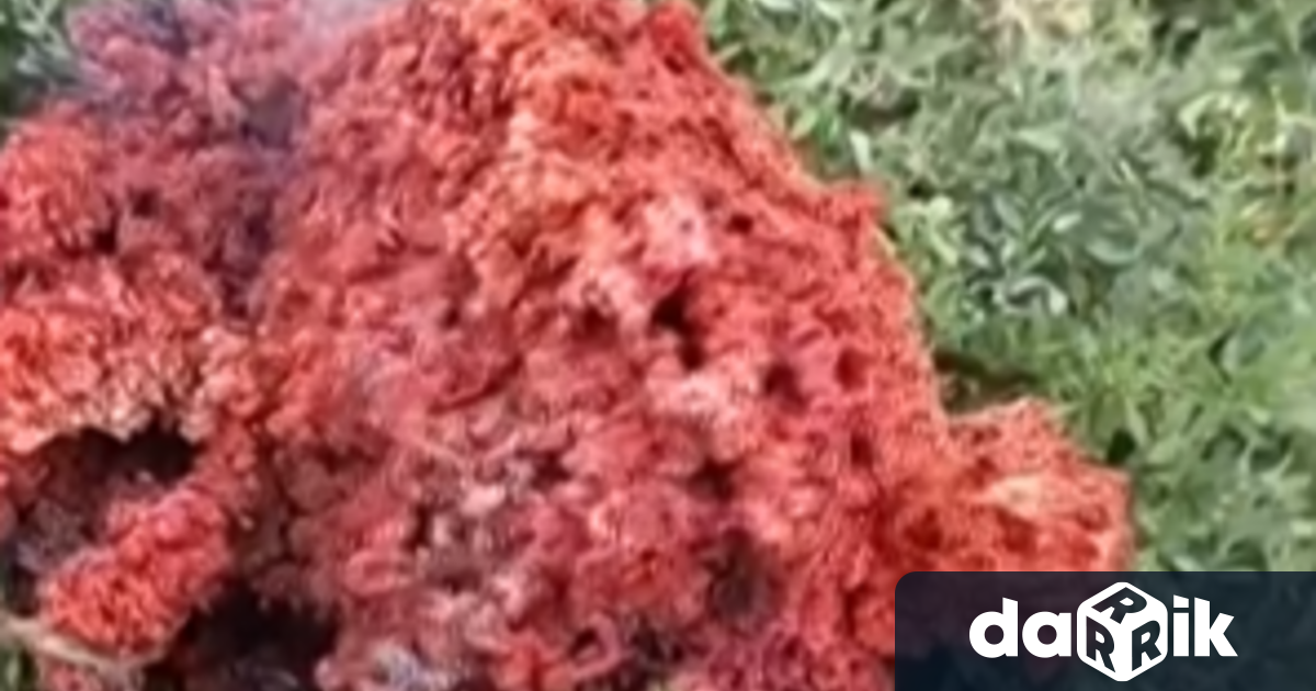 Предметът открит в двор в Якоруда преди седмица няма извънземен