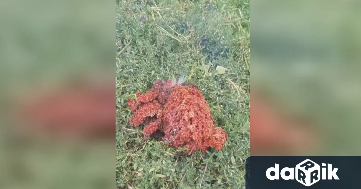 Желязо и железни окиси е съдържанието на червеното вещество което