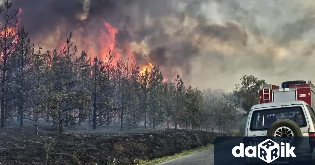 Два остават активните пожари в област Хасково след като вчера