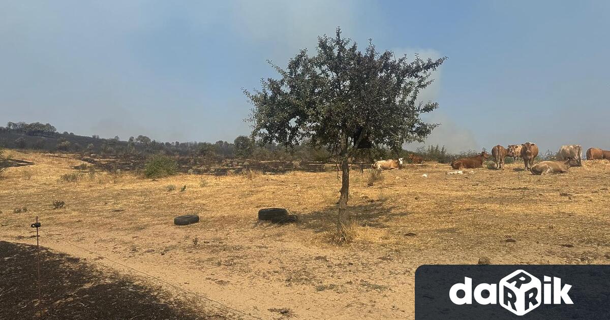 Частичното бедствено положение на територията на общините Тополовград и Свиленград