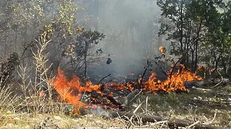 В гората над село Плоски отново гори (ОБНОВЕНА)