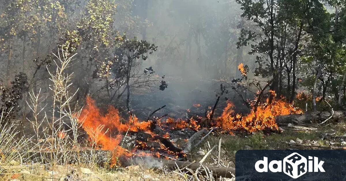 Пожар е избухнал между бургаския квартал Банево и село Изворище