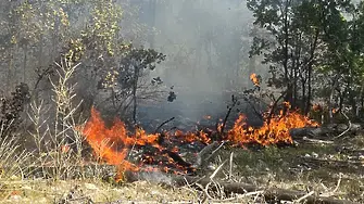 Пожар избухна край бургаския квартал "Банево"