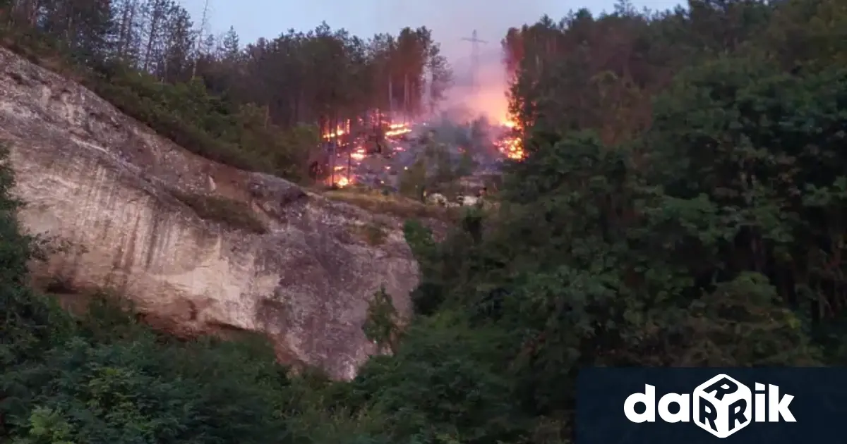 Пожар обхавана гора на Шуменското плато Огънят е пламнал в борова