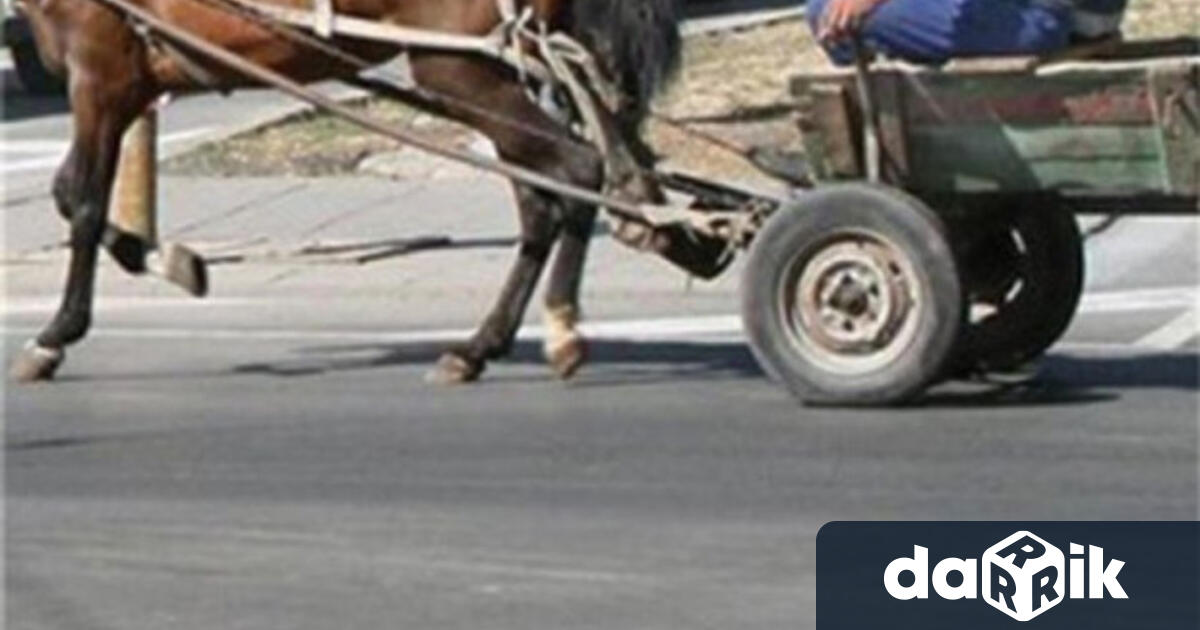 Районна прокуратура – Видин внесе в съда обвинителен акт срещу