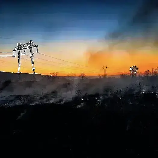 Гори пожар край Балчик