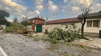 Хиляди без ток и големи щети след урагана в Раковски – възстановяват изцяло електричеството едва в четвъртък