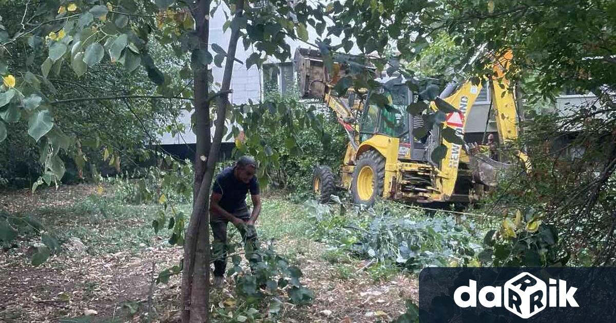 През последните две седмици екипите на ОП БКС работят активно