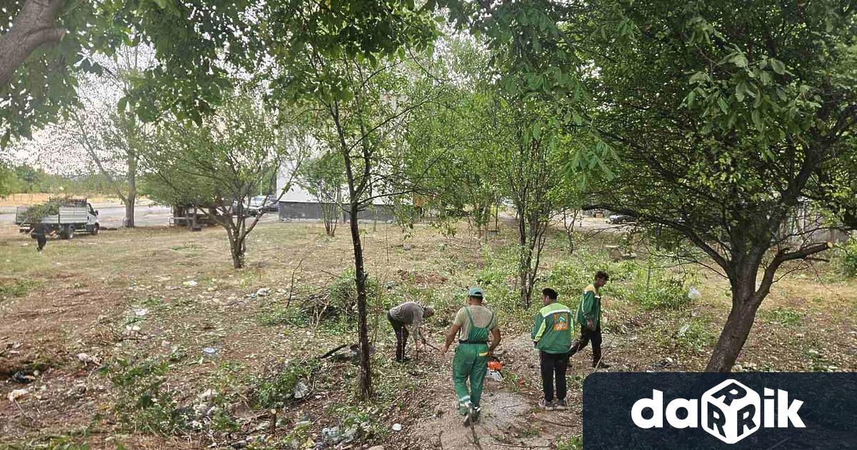 Екипите на ОП БКС продължават дейностите по почистване на зелени
