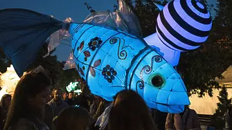 Как уличното изкуство променя градовете: 6Fest отвътре