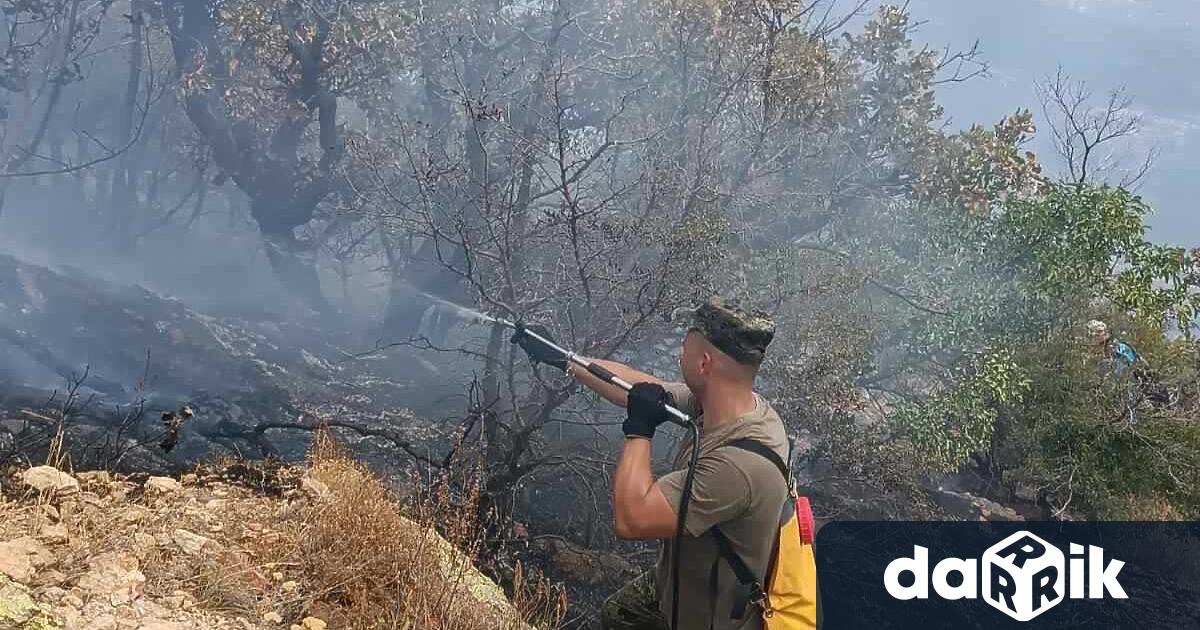 Пожарът възникнал днес по обедвъв вилната зона на Сливен в местността