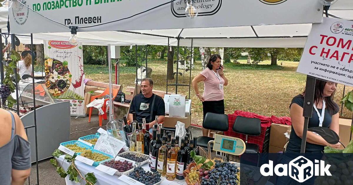 Третото издание на Фестивала на виното и фермерските деликатеси Time