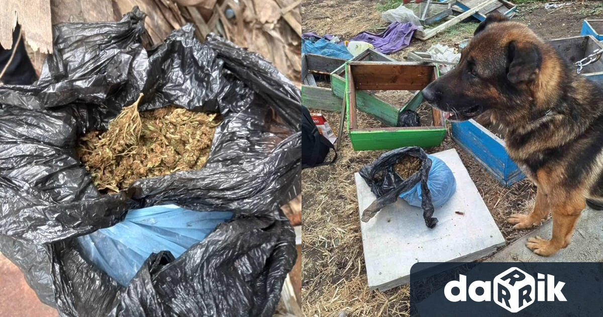 Близо килограм сух канабис беше намерен и иззет в карнобатското