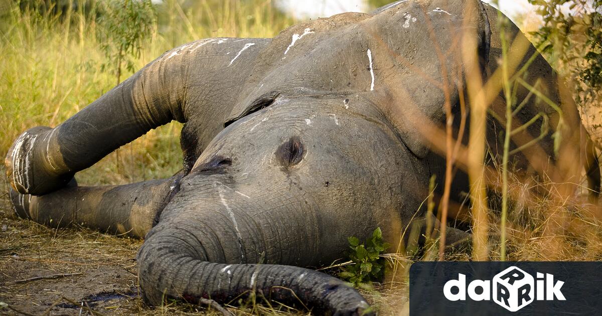 След констатирани нарушения и зачестили сигнали за бракониерство в района