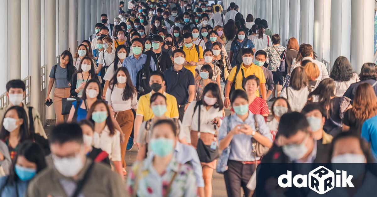 Над 7 хиляди души са заразени с вируса чикунгуня в