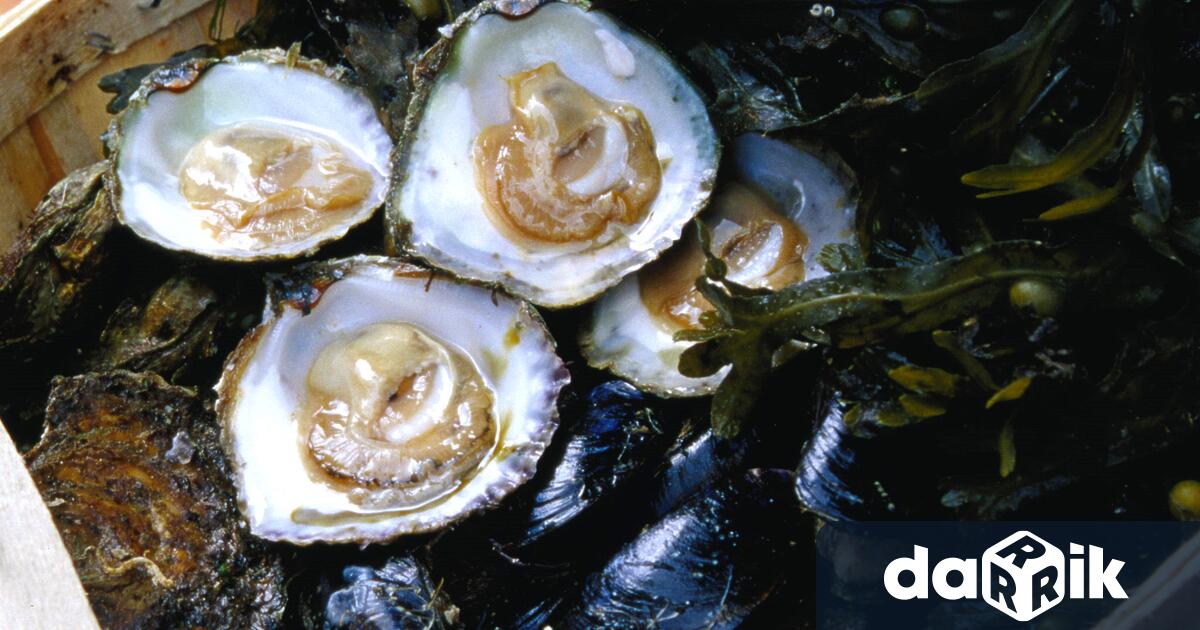 48 годишен мъж от Поморие загина днес следобед след като бил