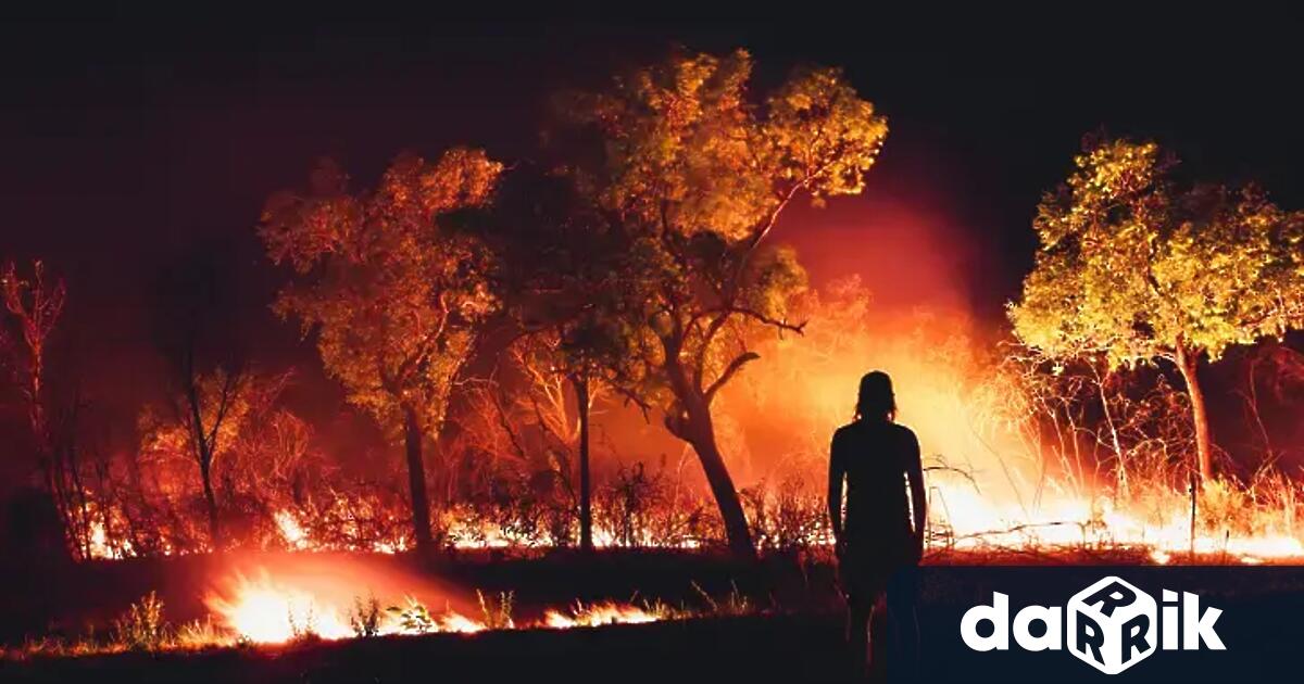 Площта засегната от пожара в Пирин е малко над 45