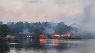 Частично бедствено положение в Момино