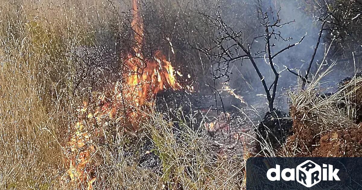 46 годишен мъж от Асеновград е задържан след като опитал да