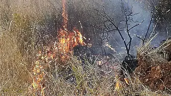 Задържаха мъж, запалил огън край гробищния парк в Асеновград