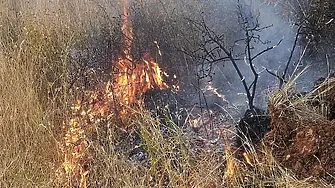 Дъжд заваля в района на пожара в село Илинденци