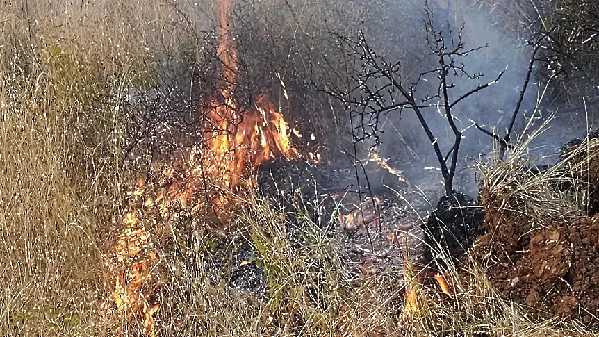 Пожар е пламнал по пътя от Враца към Връшец
