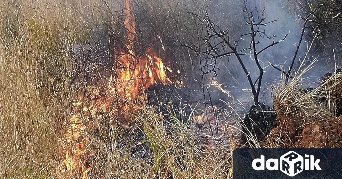 Пожар е пламнал в местността Стублата по пътя от Враца