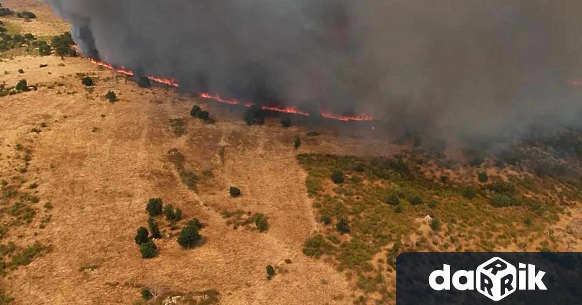 60 000 декара в Сакар планина вече са пепел Последният