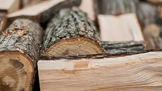 Незаконни дърва на 7 адреса намериха в Белоградчик