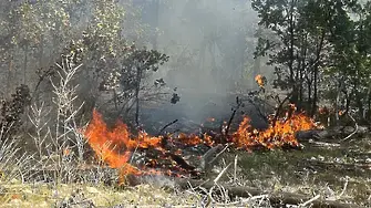 Локализиран е пожарът който отново се разпали над село Илинденци