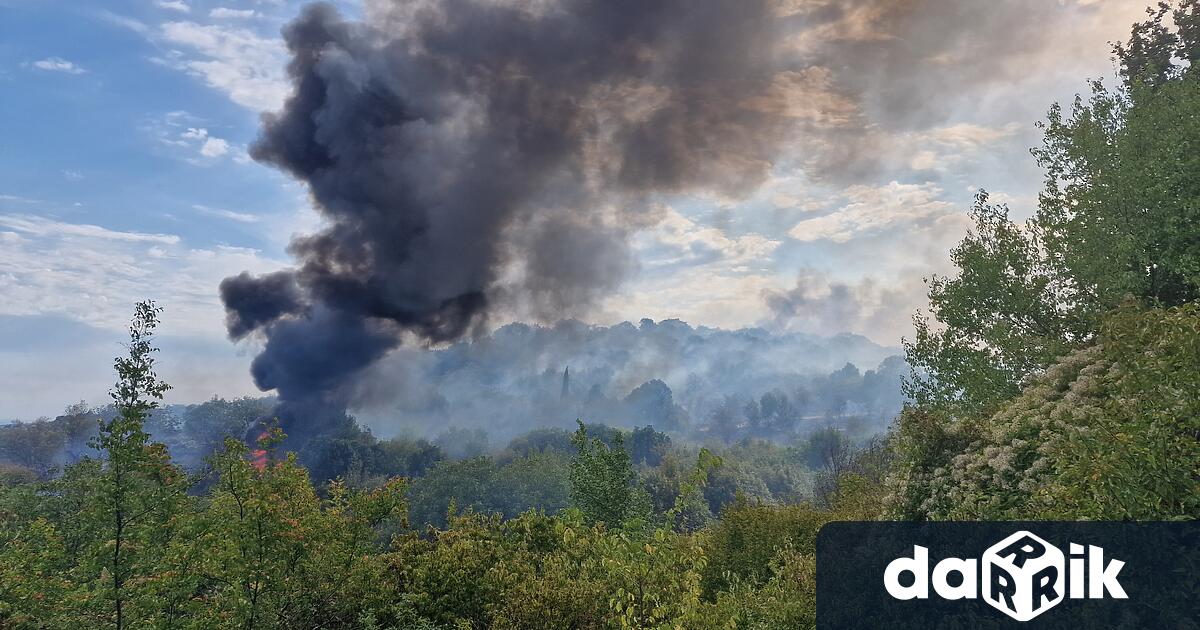 Голям пожар избухна в района на 7 и километър край Стара