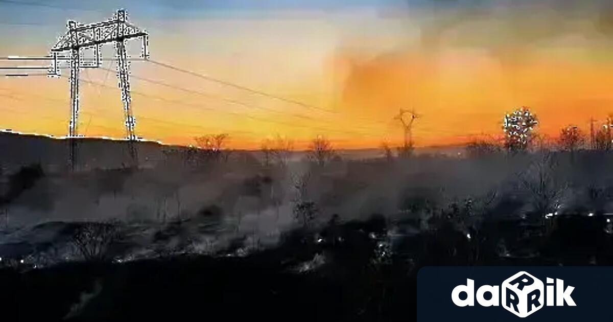 Пожар е възникнал край село Клисура район Банкя съобщиха от