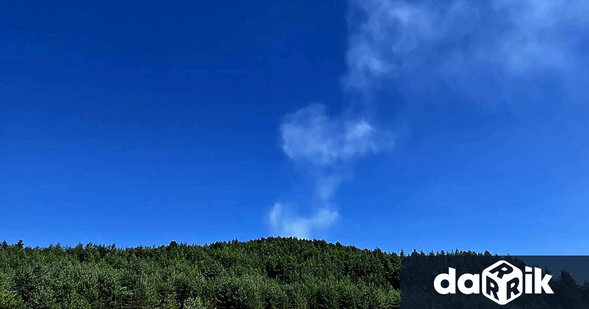 Пламъци обхванаха част от боровата гора в местността Пилешка чука