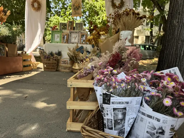 Във Видин започна лятното издание на „На Базар сме! В парка“