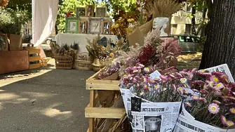 Във Видин започна лятното издание на „На Базар сме! В парка“