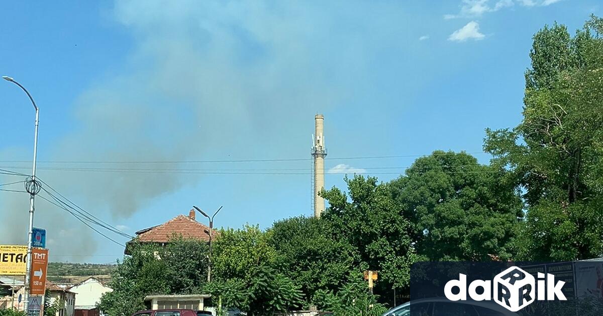 В Плевен е задържан 25 годишен мъж за пожар в