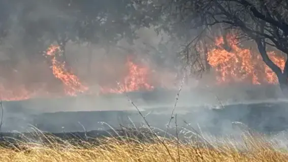 Пожар избухна край Българово, евакуират хора, има изгорели постройки