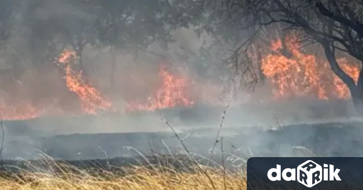 Голям пожар избухна в района на град Българово област Бургас